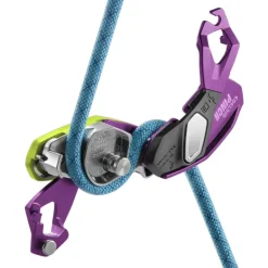 Assicuratore Pinch