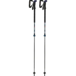 Bastoncini Alpine Ski Walking
