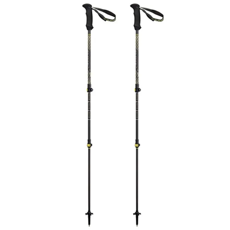 Bastoncini Backcountry Carbon 2.0