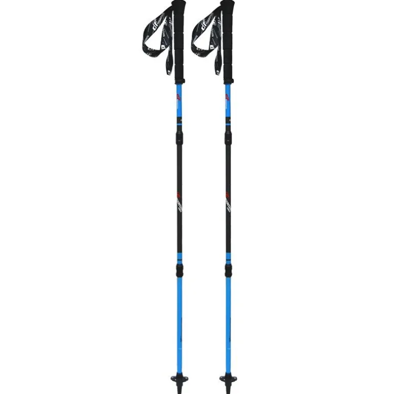 Bastoncini Flash Folding Carbon Evo