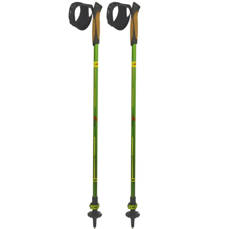 Bastoncini Nordic Walking Pro