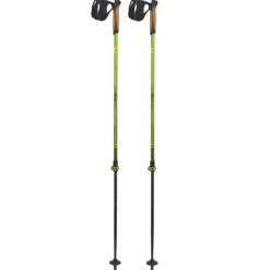 Bastoncini Nordic Walking Pro