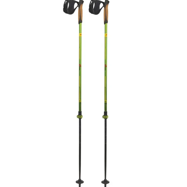 Bastoncini Nordic Walking Pro