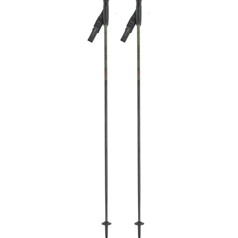 Bastoncini Piste Carbon