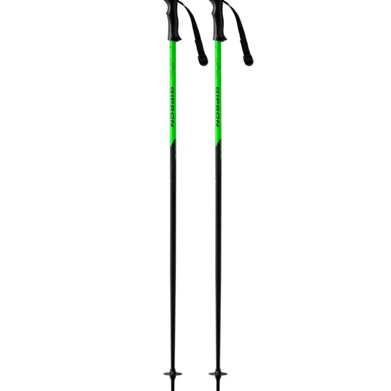 Bastoncini Sci Protech