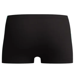 Boxer bambino Dive