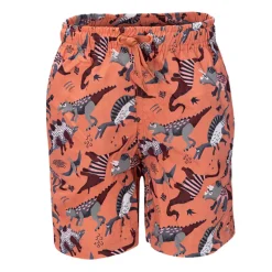 Boxer bambino little dinosauri