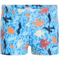 Boxer bambino little Samon