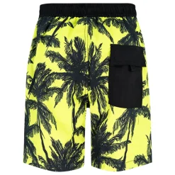 Boxer bambino Palme