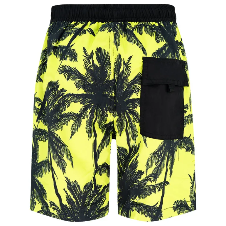 Boxer bambino Palme