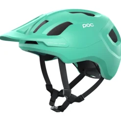 Casco Axion Spin