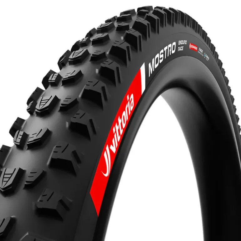 Copertone Mostro Enduro Race 29x2.40
