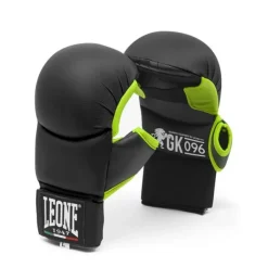 Guanti Karate/Fit Boxe Silter PU