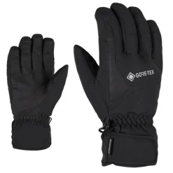 Guanti uomo Garwen-Z GTX
