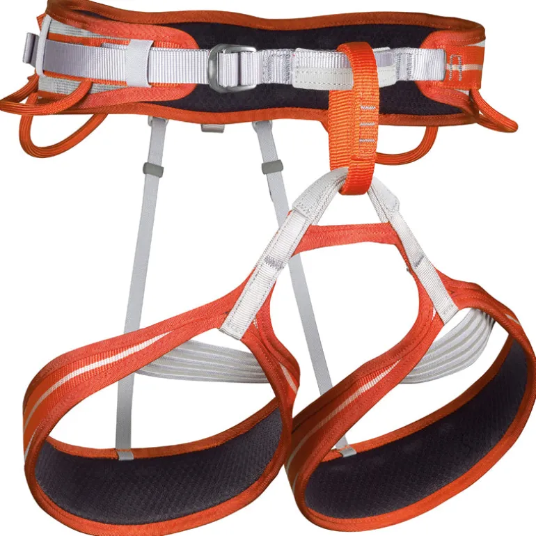Imbrago Impulse