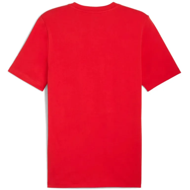 Maglia uomo AC Milan FtblEssentials