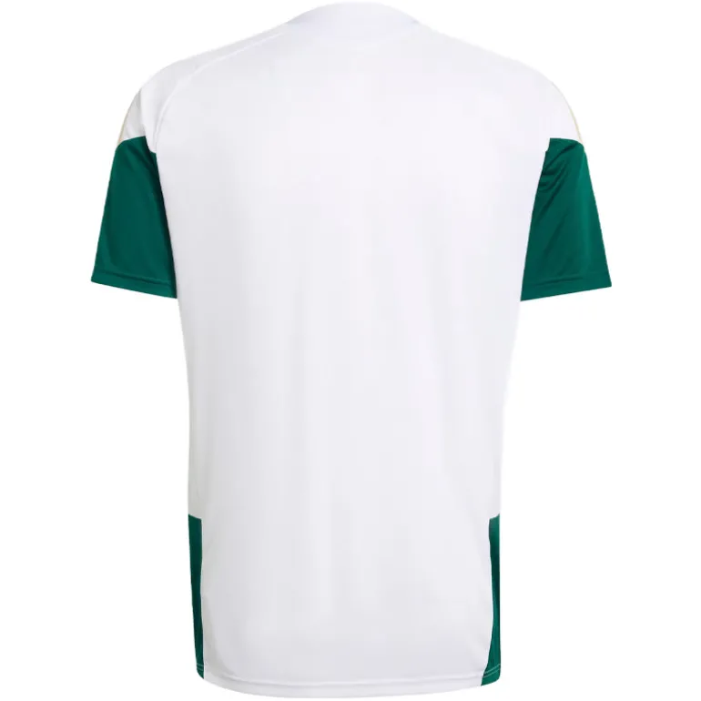 Maglia uomo Italia FIGC Tiro training