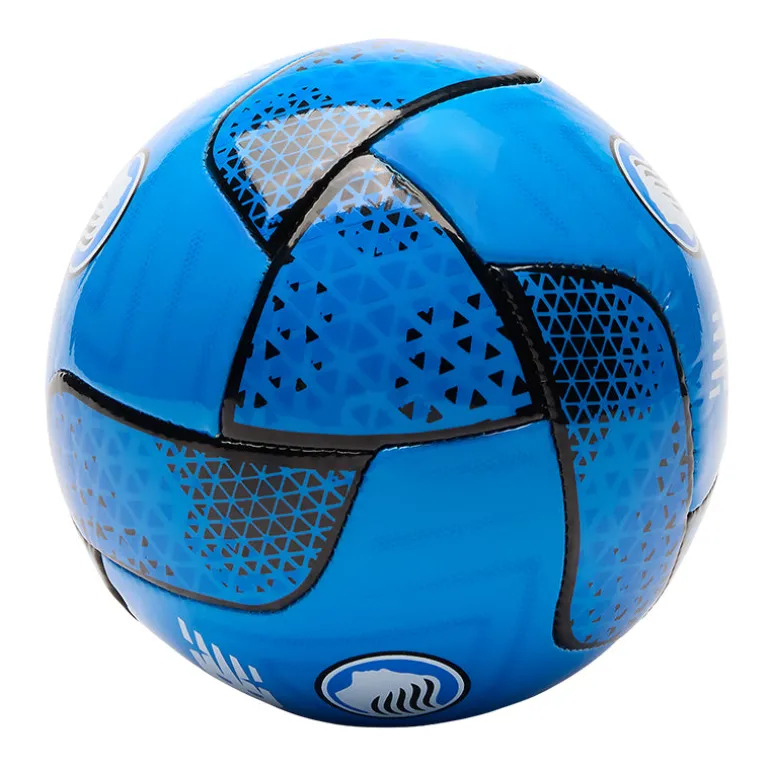Minipallone Atalanta Geodesa training