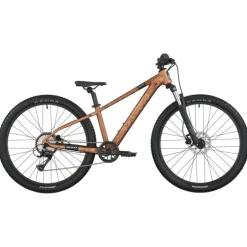 Mtb bambino Roxter 600 26"