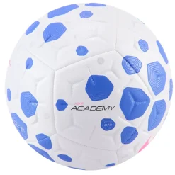 Pallone Academy