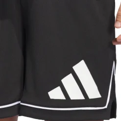 Pantaloncino uomo Badge of Sport