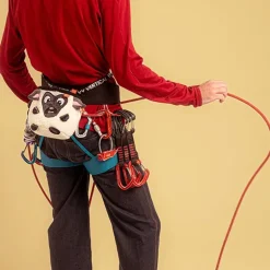 Portamagnesite Sheep