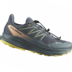 Scarpe donna Alpharide 2 GTX