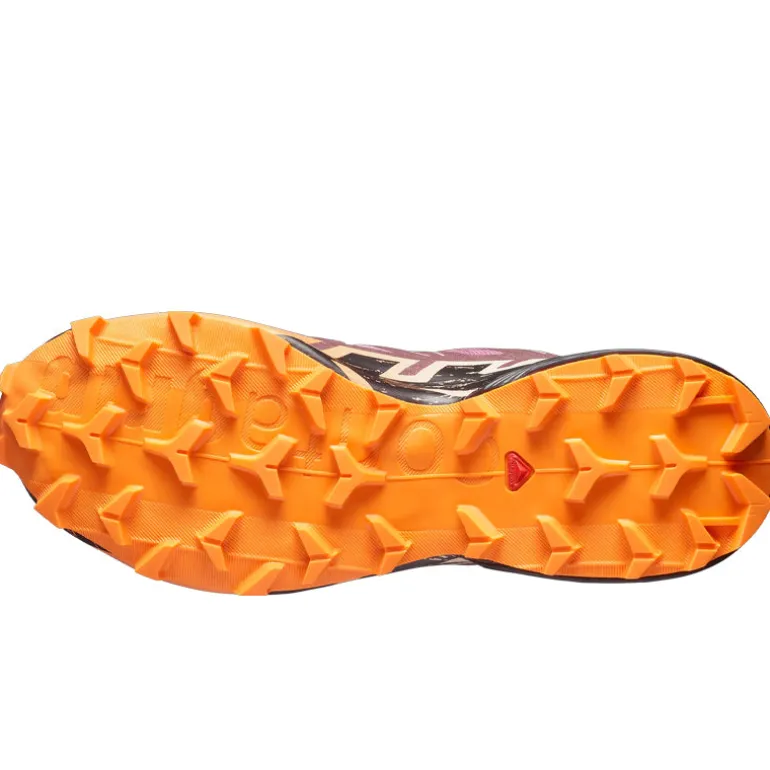 Scarpe donna Speedcross 6 GTX