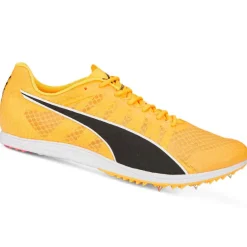 Scarpe EvoSpeed Distance 11