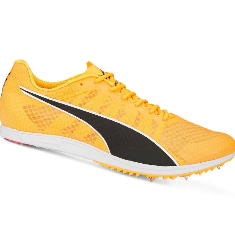 Scarpe EvoSpeed Distance 11