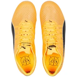 Scarpe EvoSpeed Distance 11