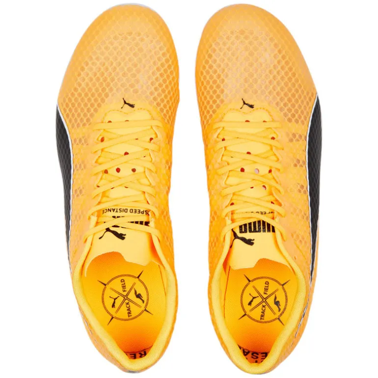 Scarpe EvoSpeed Distance 11