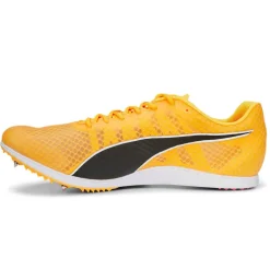 Scarpe EvoSpeed Distance 11