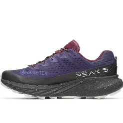 Scarpe uomo Agility Peak 5 GTX
