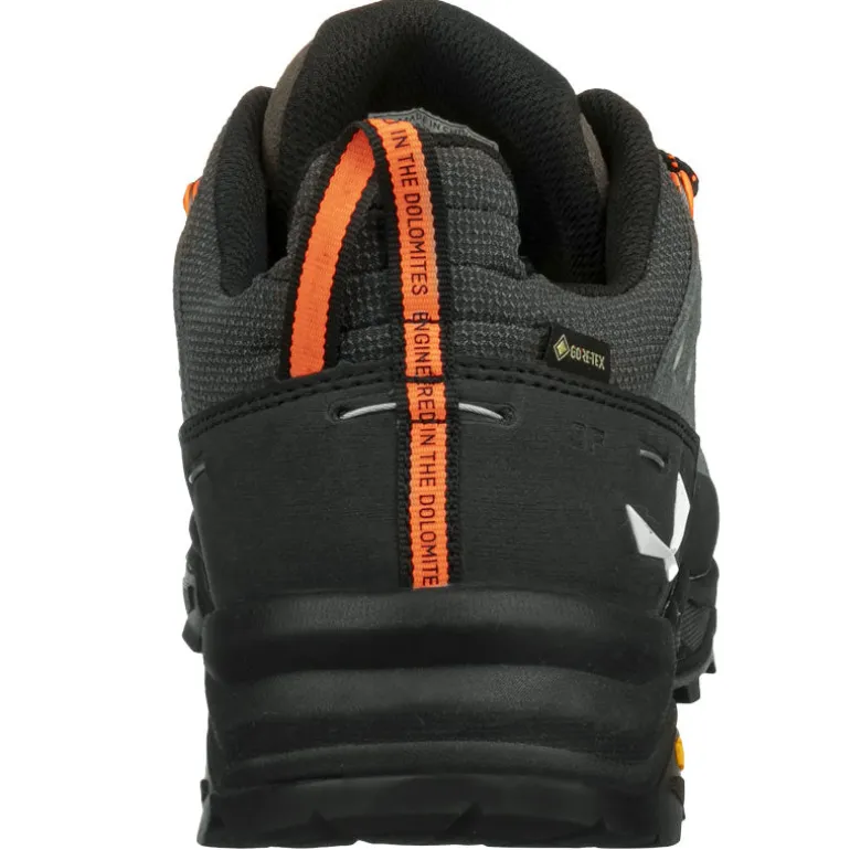 Scarpe uomo ALP Trainer 2 GTX