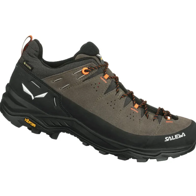 Scarpe uomo ALP Trainer 2 GTX