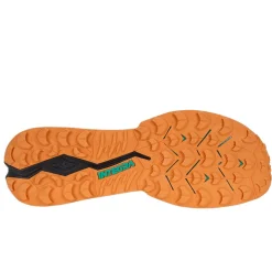 Scarpe uomo Elevation GTX