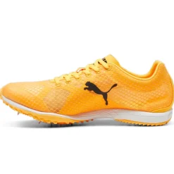 Scarpe uomo Evospeed Haraka 8