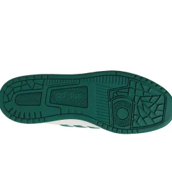 Scarpe uomo Rapid Court Low