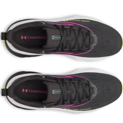 Scarpe uomo Rogue 6