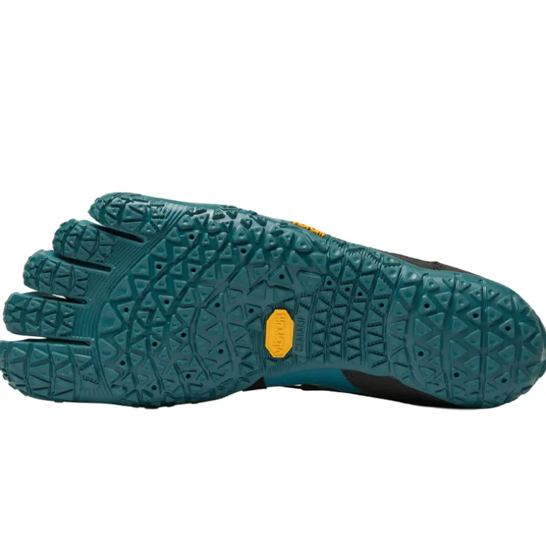 Scarpe uomo Spidrwalk