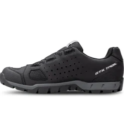 Scarpe uomo Trail Evo GTX BOA