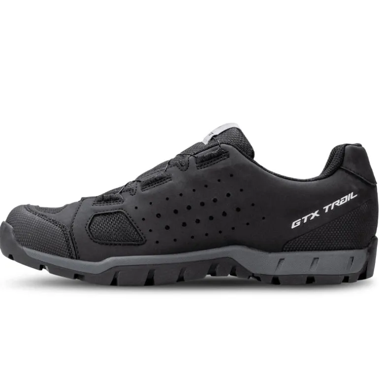 Scarpe uomo Trail Evo GTX BOA