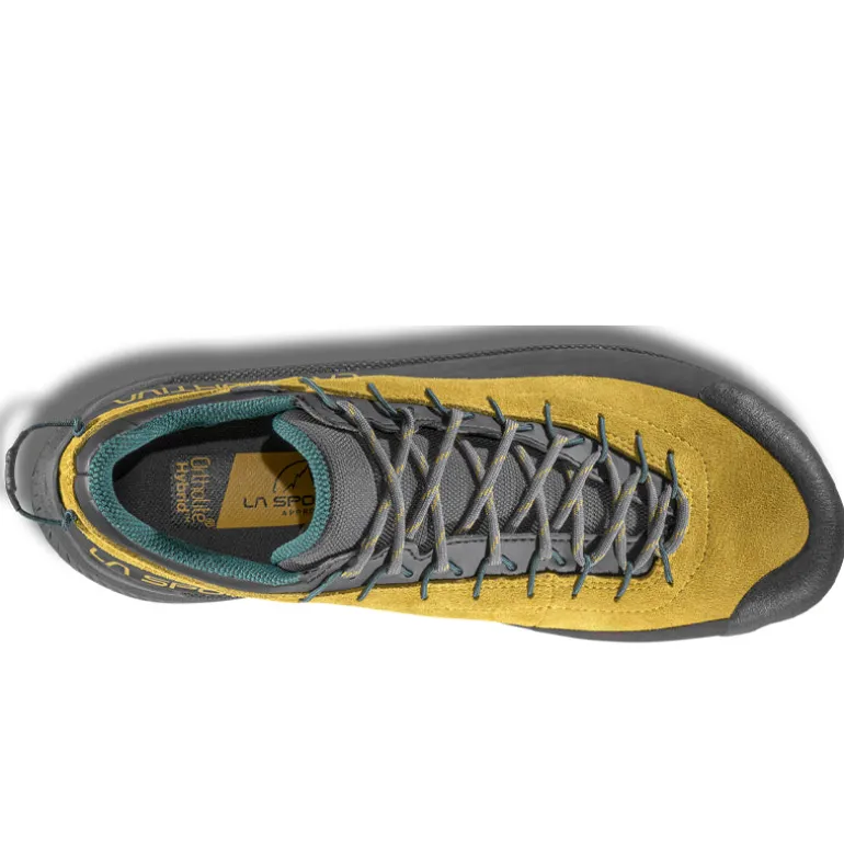 Scarpe uomo TX4 Evo GTX