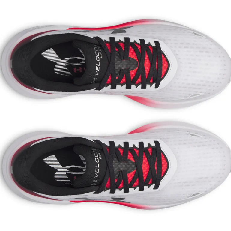 Scarpe uomo Velociti Pace