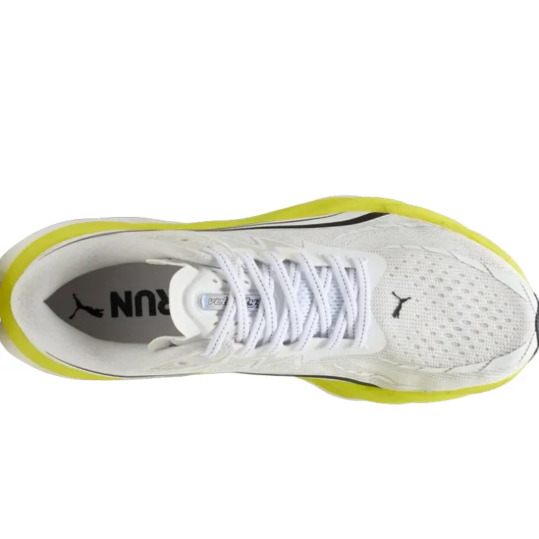Scarpe uomo Velocity Nitro 4