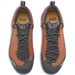 Scarpe uomo Wildfire Leather 2 GTX