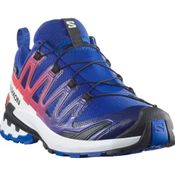 Scarpe uomo XA PRO 3D V9 GTX