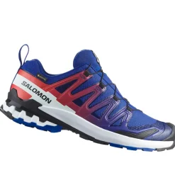Scarpe uomo XA PRO 3D V9 GTX