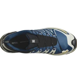 Scarpe uomo XA Pro 3D V9 GTX